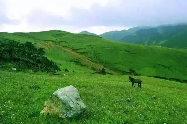 寻甸有多少人口_寻甸县图片(3)