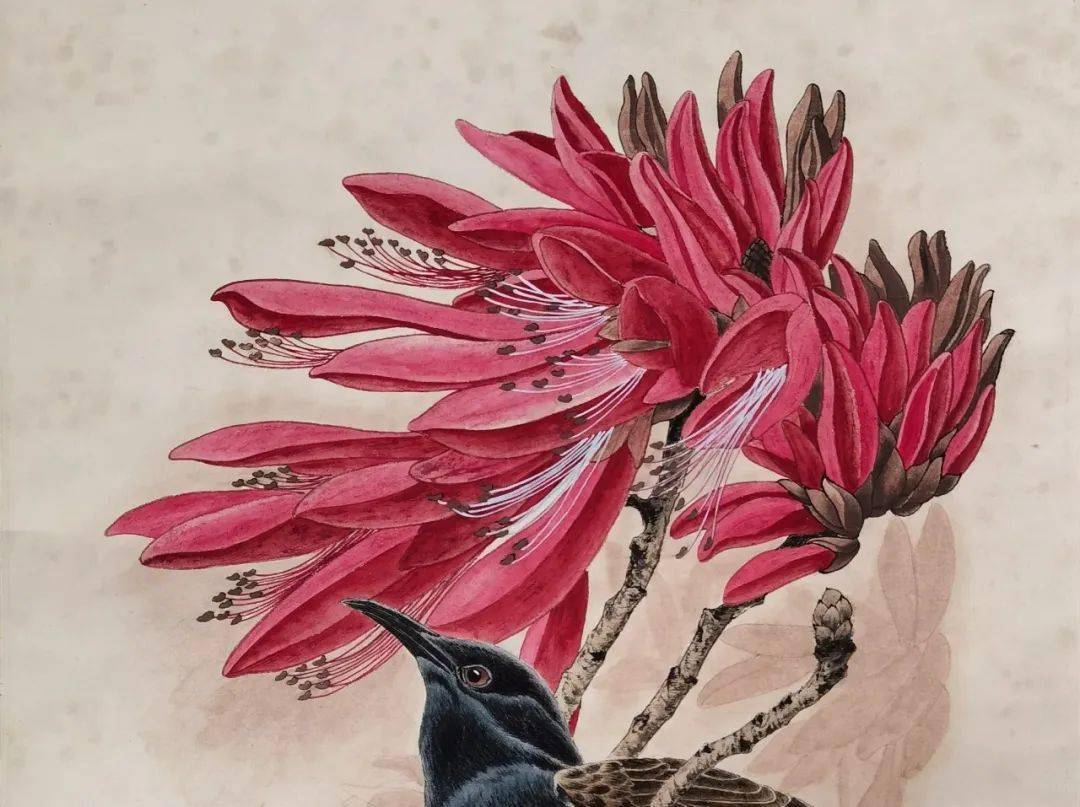 一夜爆得大名贾浅浅的诗与贾平凹的字