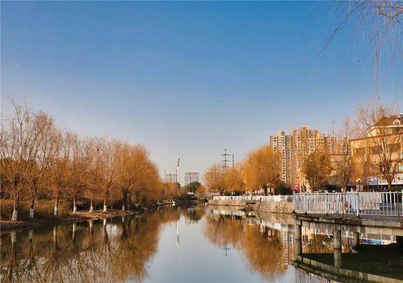 新时代文明实践鸠江区点亮文明实践新风采乐享社区幸福新生活