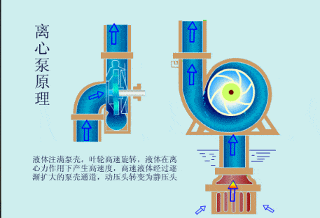 32f5ba10d13e40959b703528f91473ad.gif