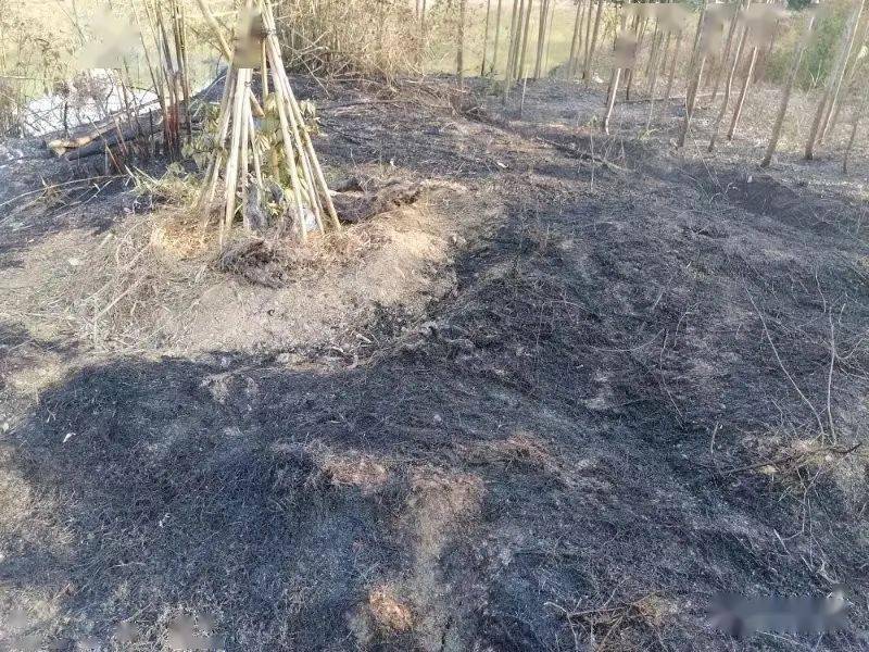 引以为戒烧杂草引发火灾沙堆镇一名群众被行政处罚