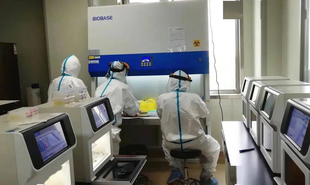 2020战疫迪安诊断的辛路历程