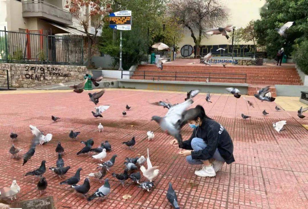 һλ�й���ѧ�������ŵ������:��豹���