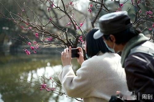 花枝什么颤成语_花枝乱颤什么意思(2)