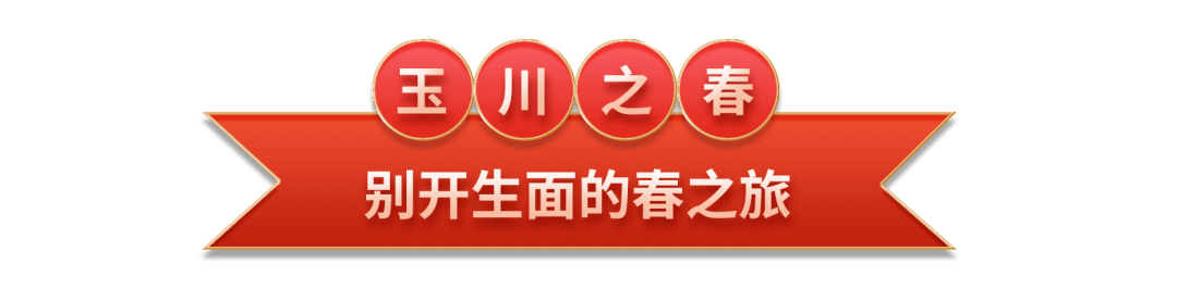 玉川人一起拼过的春夏秋冬 产业