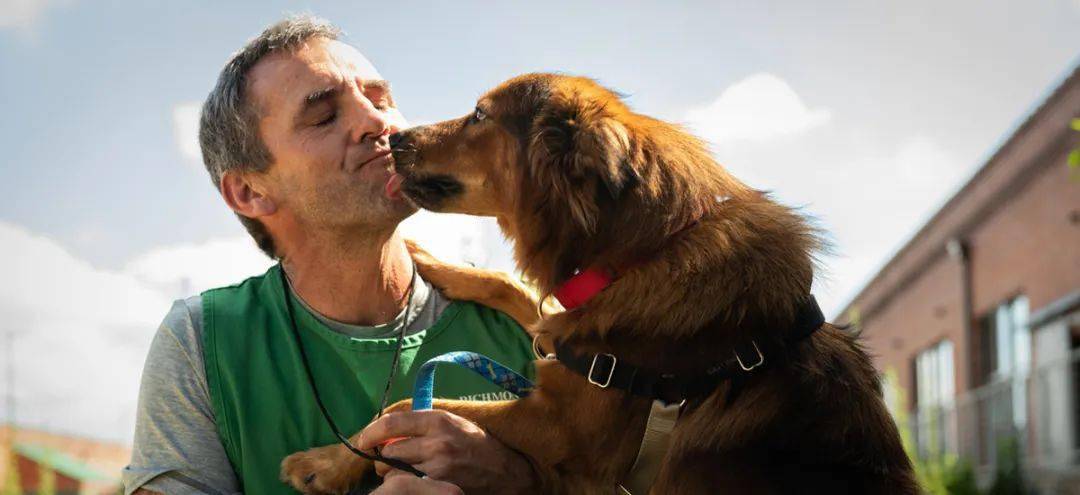 解放动物freetheanimals为保护动物立法的国家