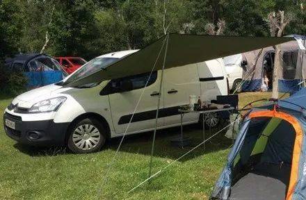 旅遊回來發現車內被盜，主人跪求小偷，請把狗狗的骨灰還回來！ 萌趣萌寵 第1张