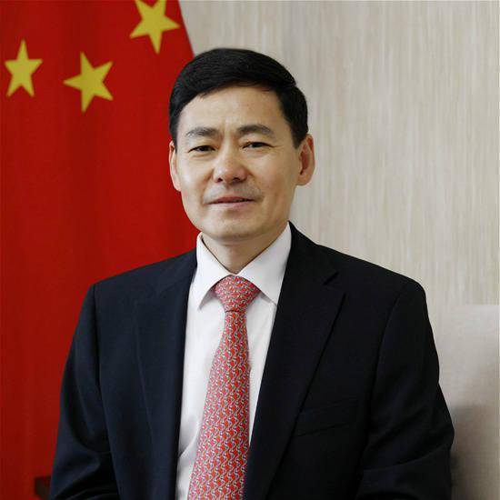 中国驻巴新大使薛冰向全国人民拜年