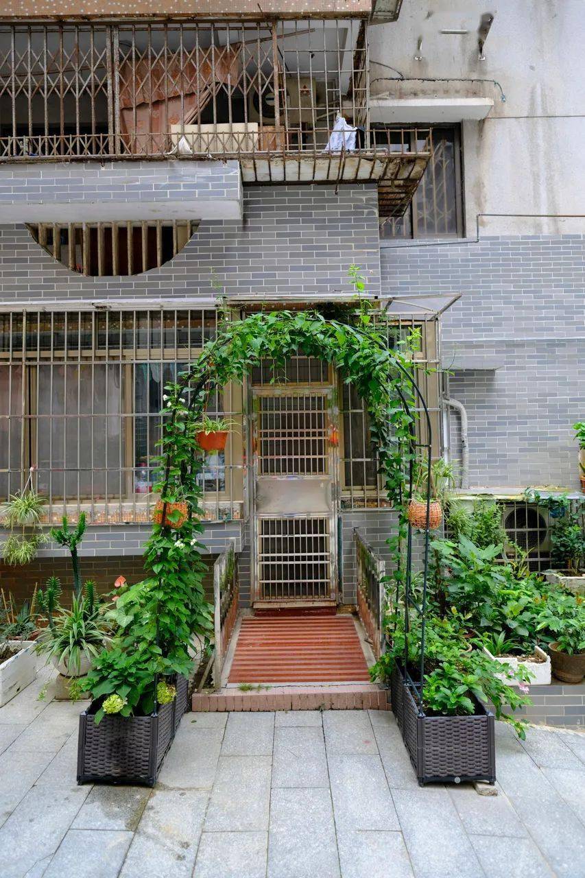 小荔走访发现,在康王路与龙津路交汇处,康王主题邻里花园采用青砖