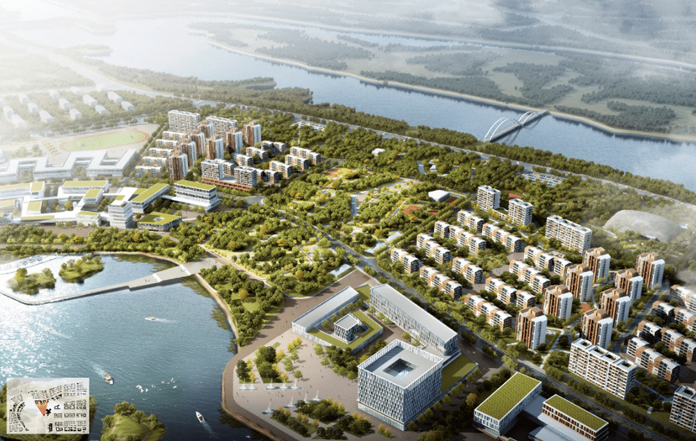虎门白沙社区经济总量_虎门白沙四村街景(3)