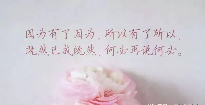 想你的心好苦念你的心好疼 6944eed75c1942da87c2c94da3fee0b7.jpeg