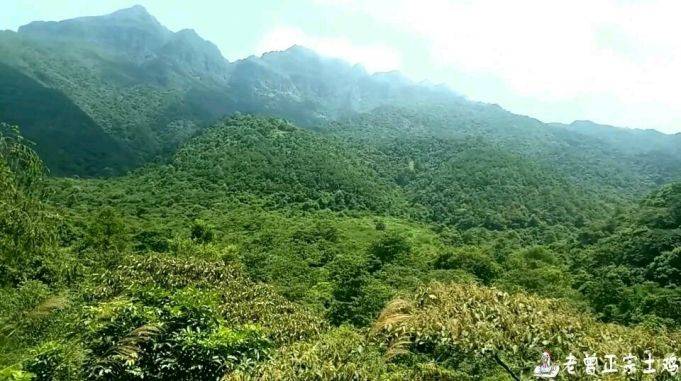 一路走进大明山龙头峰风水大地,第六集,上主峰小路上遇到什么了