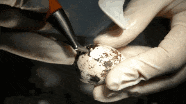 b2af871b80c74b978b11f6e43be0c358.gif