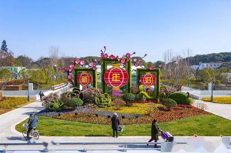 武汉换上 新年妆 洪山菜薹 小白菜拼成了别样花坛 灯笼