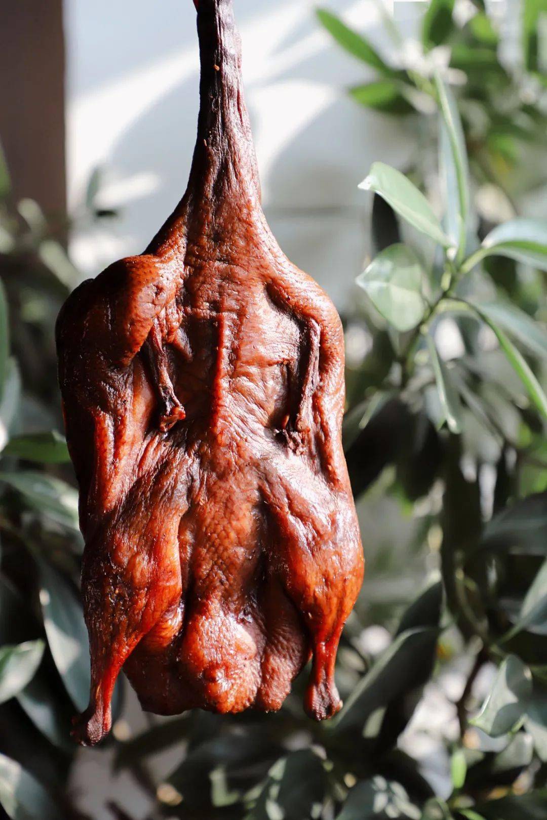 一键购齐酱货零食年夜饭海宁人舌尖上的年味儿都在这里