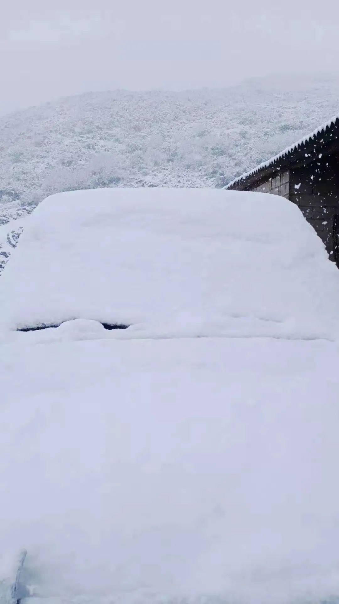 个旧真的下04雪04了04有图有真相大量雪景图在这里