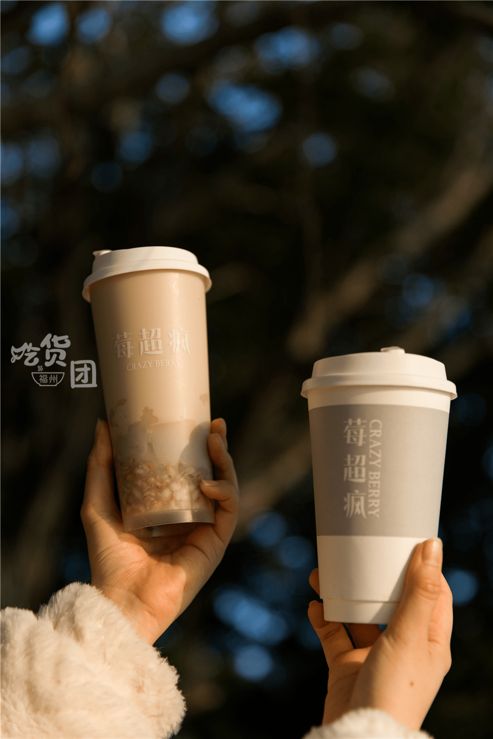 3层高原青稞奶茶来了福州人马住这1杯新年收获3倍快乐