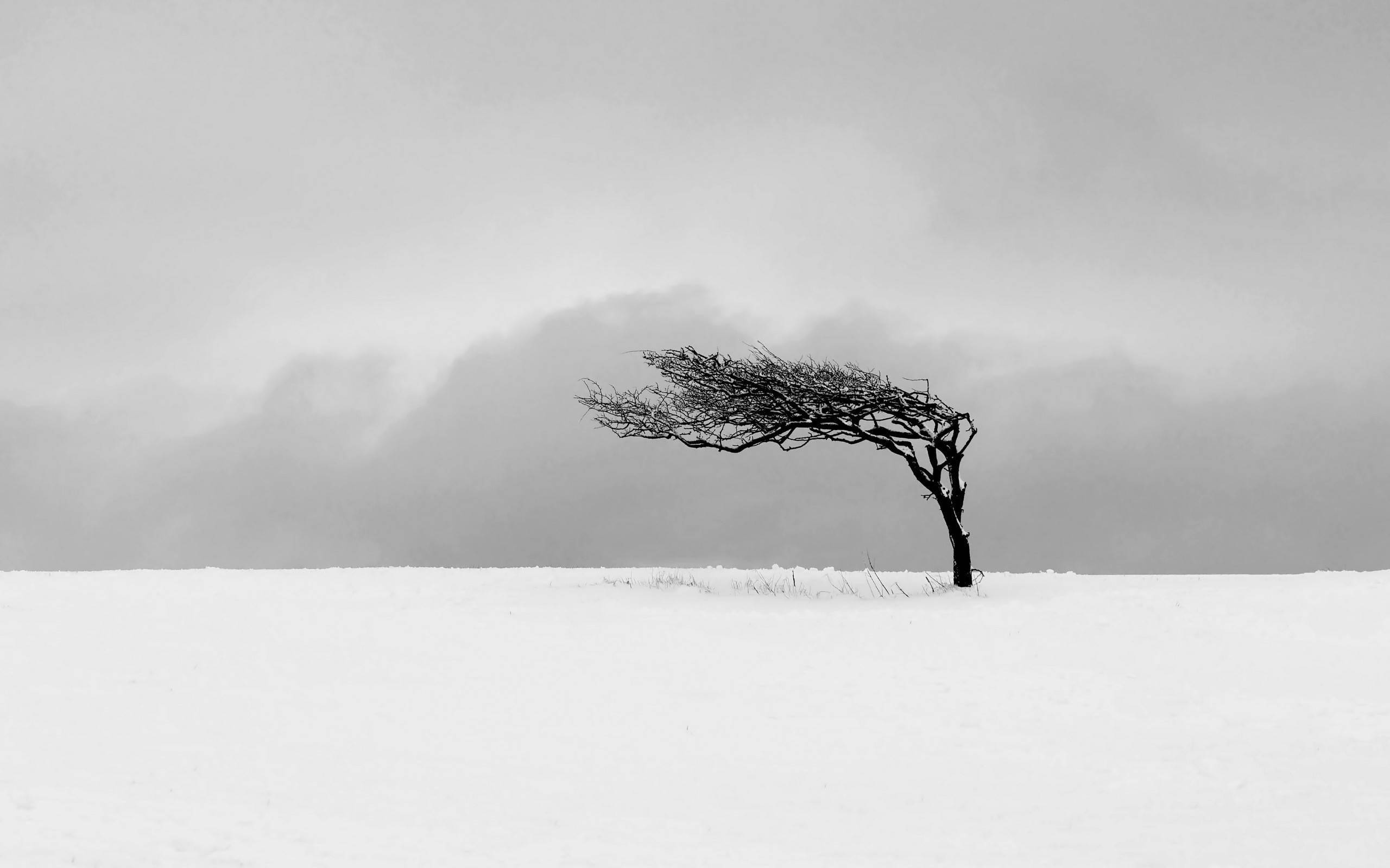 雪景孤独图片