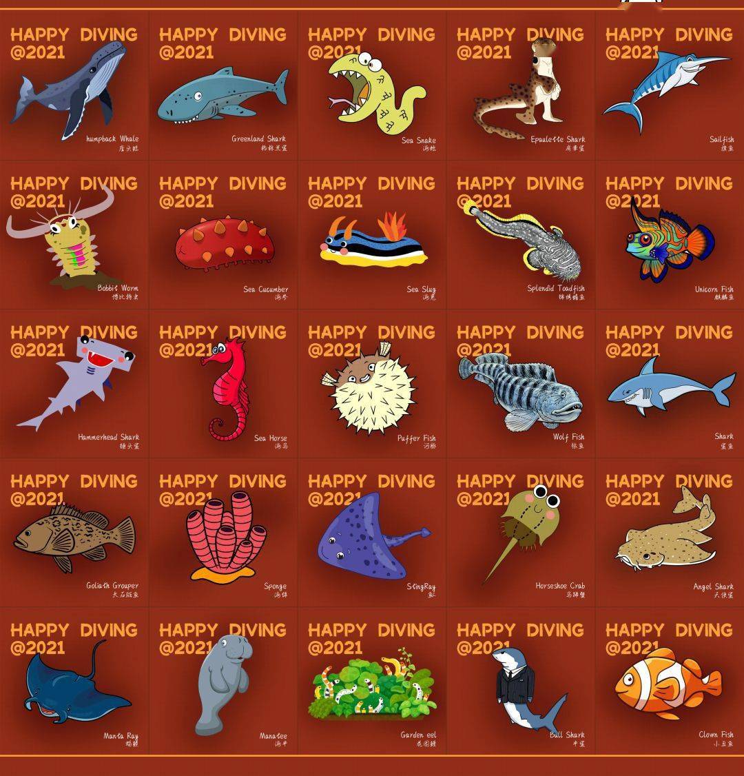 100种海洋动物名称大全图片