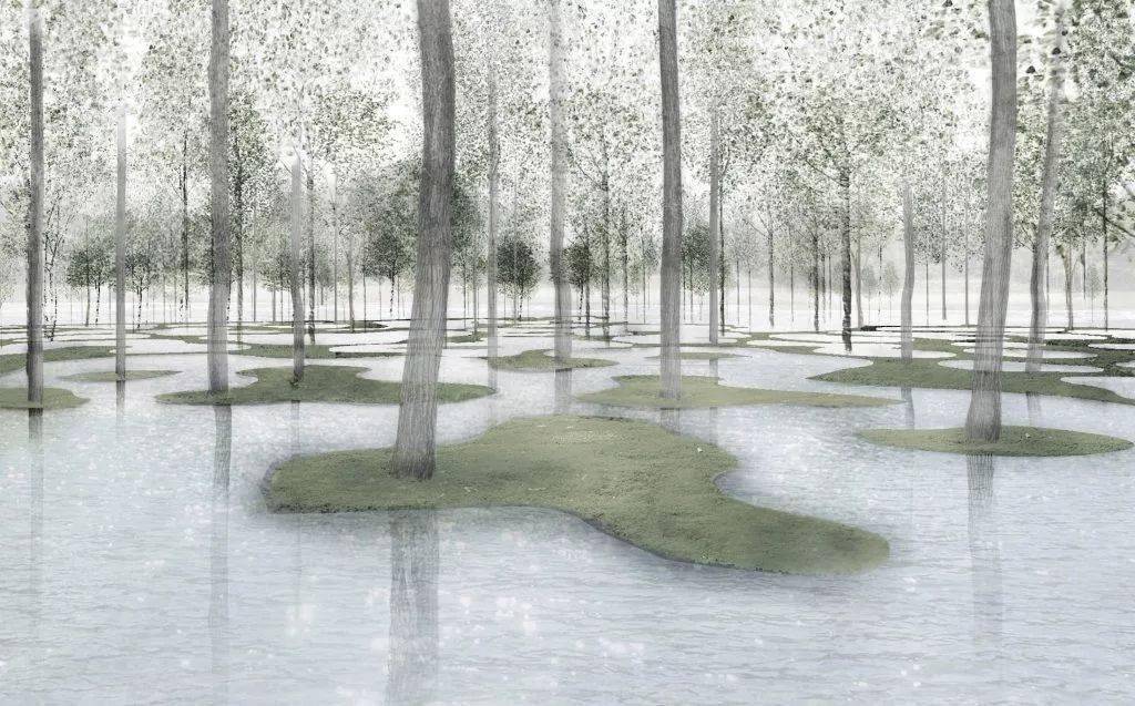 石上纯也—水庭,318株老树的迁移_树木