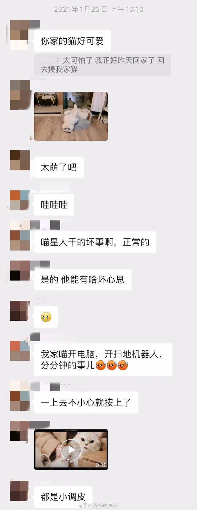 鄰居憤怒投訴噪音，發現是貓後：「那沒事了，小貓咪能有什麼壞心思呢！」 萌趣萌寵 第7张