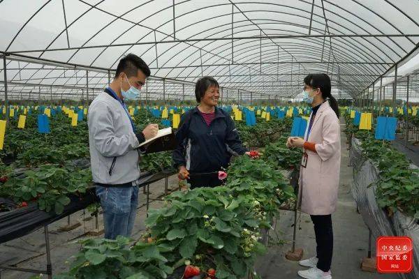 群众关注点就是工作着力点广东纪检监察机关整治基层腐败和作风问题