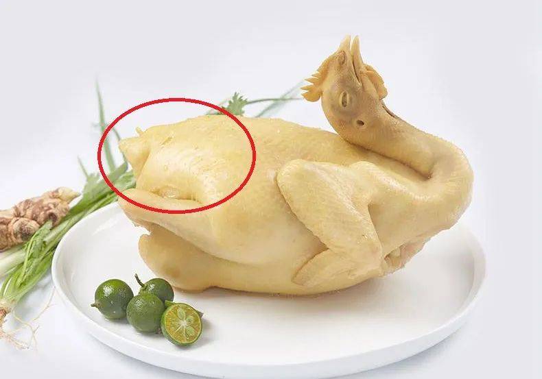 尾脂腺在鸡屁股背侧呈对称分布,鸡会啄取这里的脂肪来保护羽毛,所以