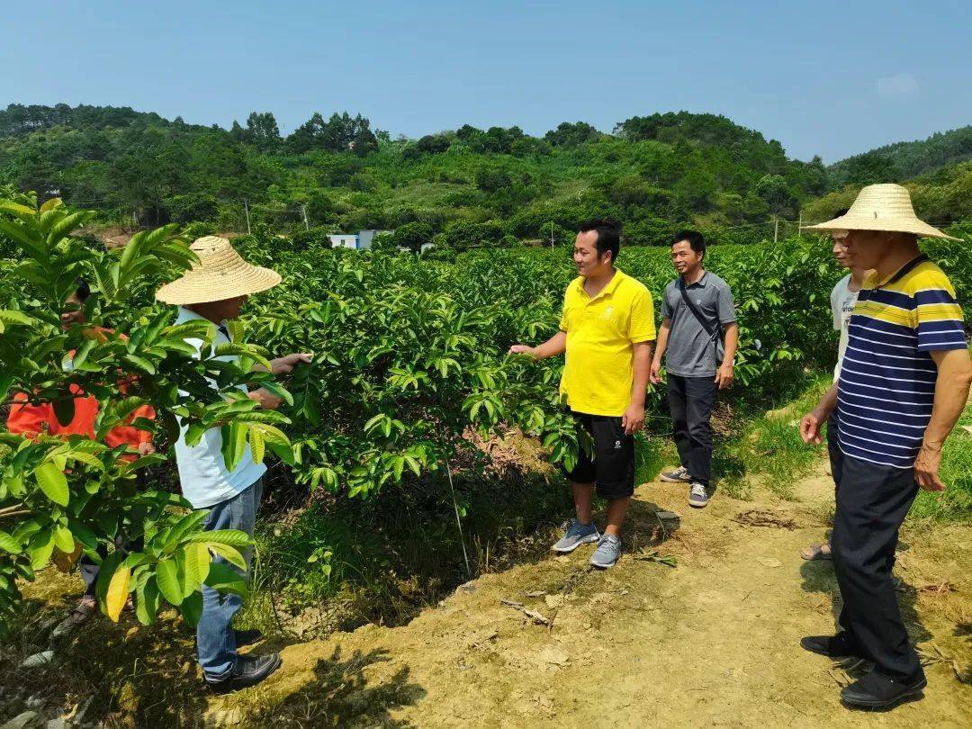 这三位全国优秀农民工做了好榜样_黎凤珍