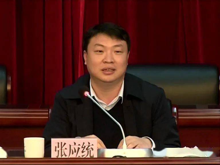 丹灶镇党委书记张应统以"了不起"三个字,对去年丹灶所取得的成绩,以及