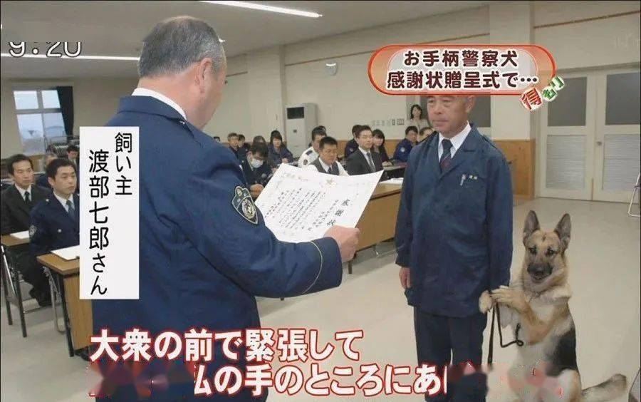警犬搜尋失蹤者時自己走失了，然後被警犬搜尋...哈哈哈哈禁止套娃！ 萌趣萌寵 第9张
