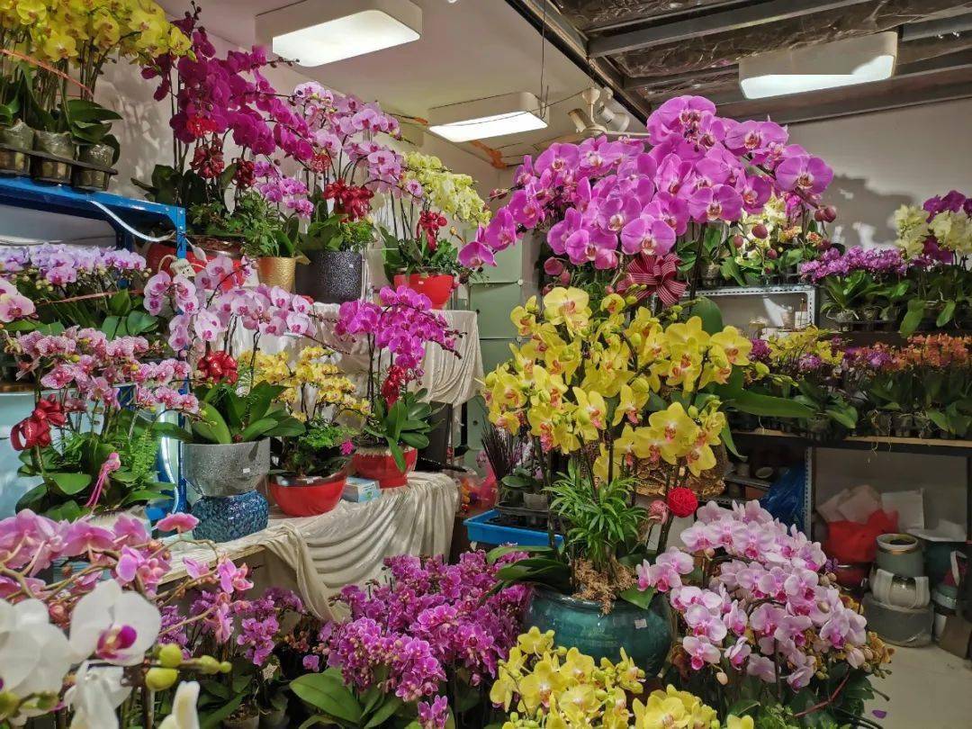 嘉藝花卉廣場距離曹安路輕紡市場不遠,熱鬧的花市,嘈雜的市井,正是