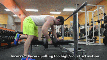 98d378865830480b914a8b14a49263a1.gif