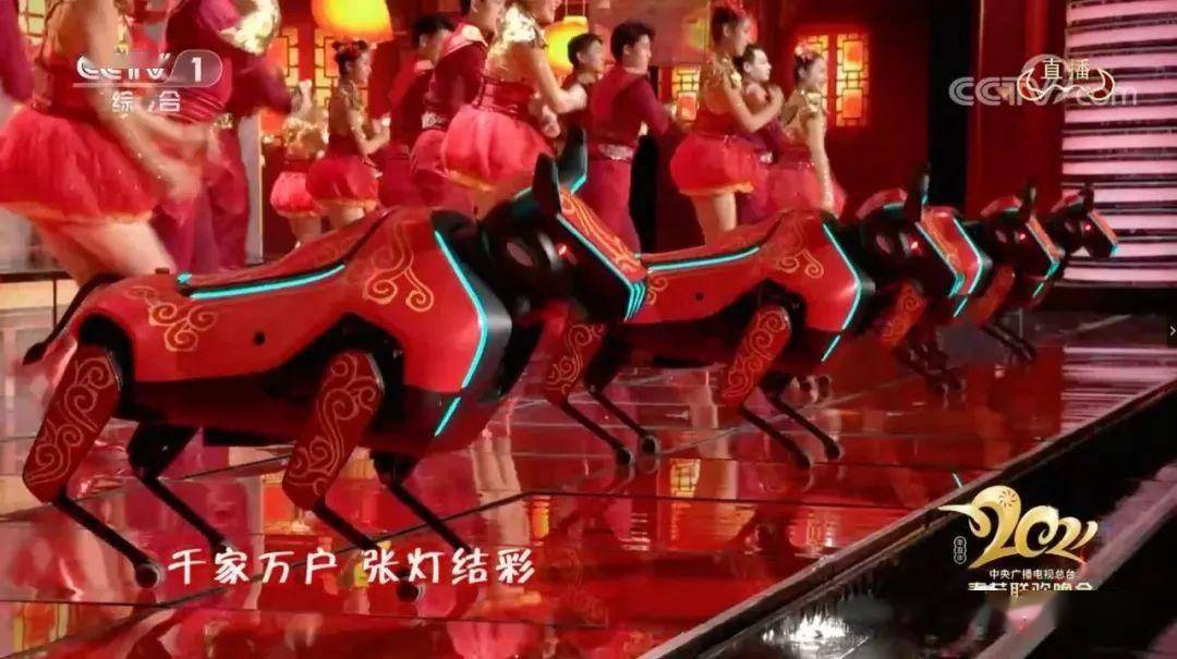 骄傲这30名泉州人亮相央视春晚快看有你认识的吗