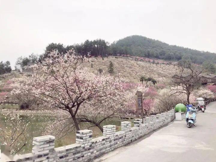 吉山村居住人口_山村风景