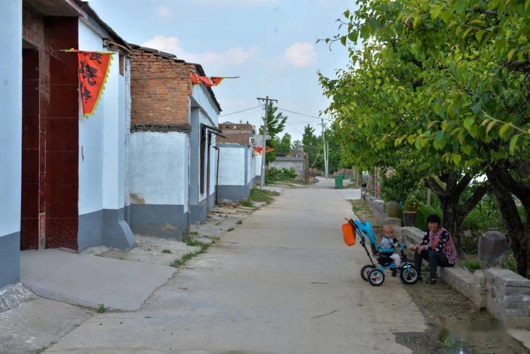 群众话民生小梨树蕴含大能量