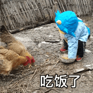 300_300gif 动态图 动图