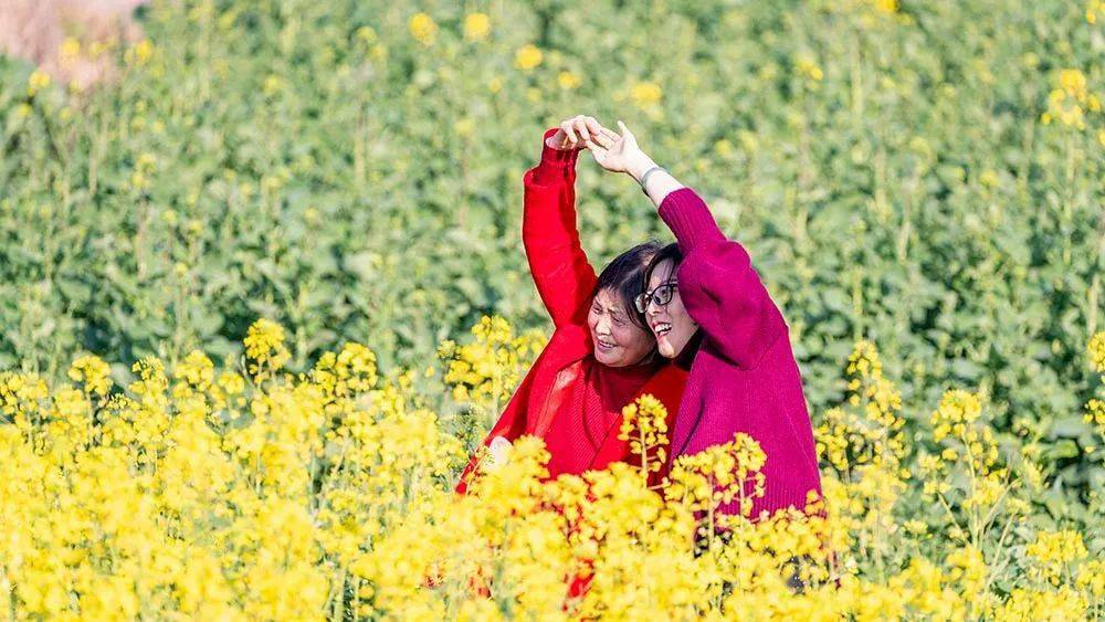 美图 | 重庆南川市民踏青赏花好春光