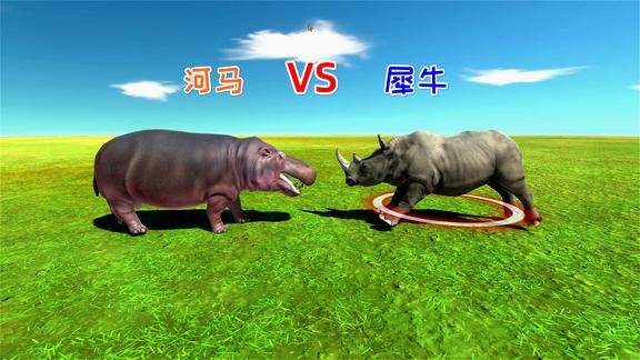 河马单挑犀牛,谁更厉害一点?结局差点把人笑岔气