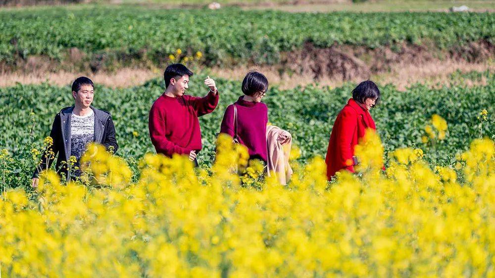 美图 | 重庆南川市民踏青赏花好春光