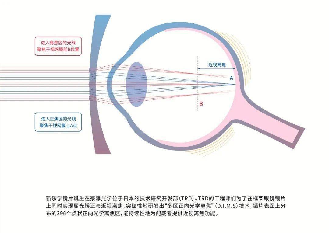 新乐学镜片原理图片