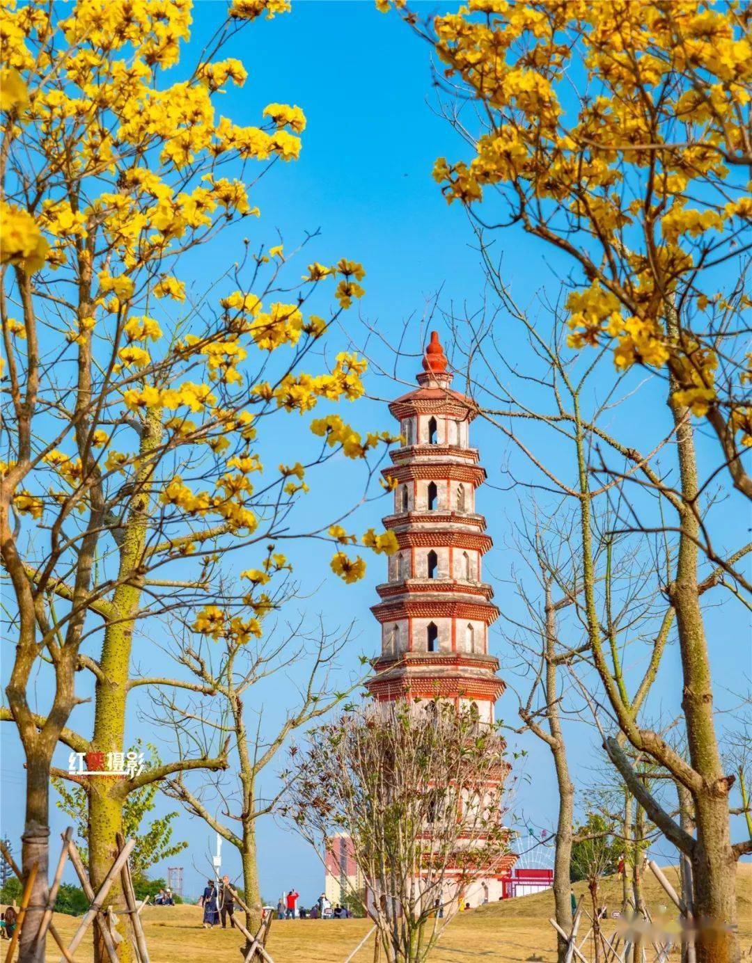 合浦年味春满古城