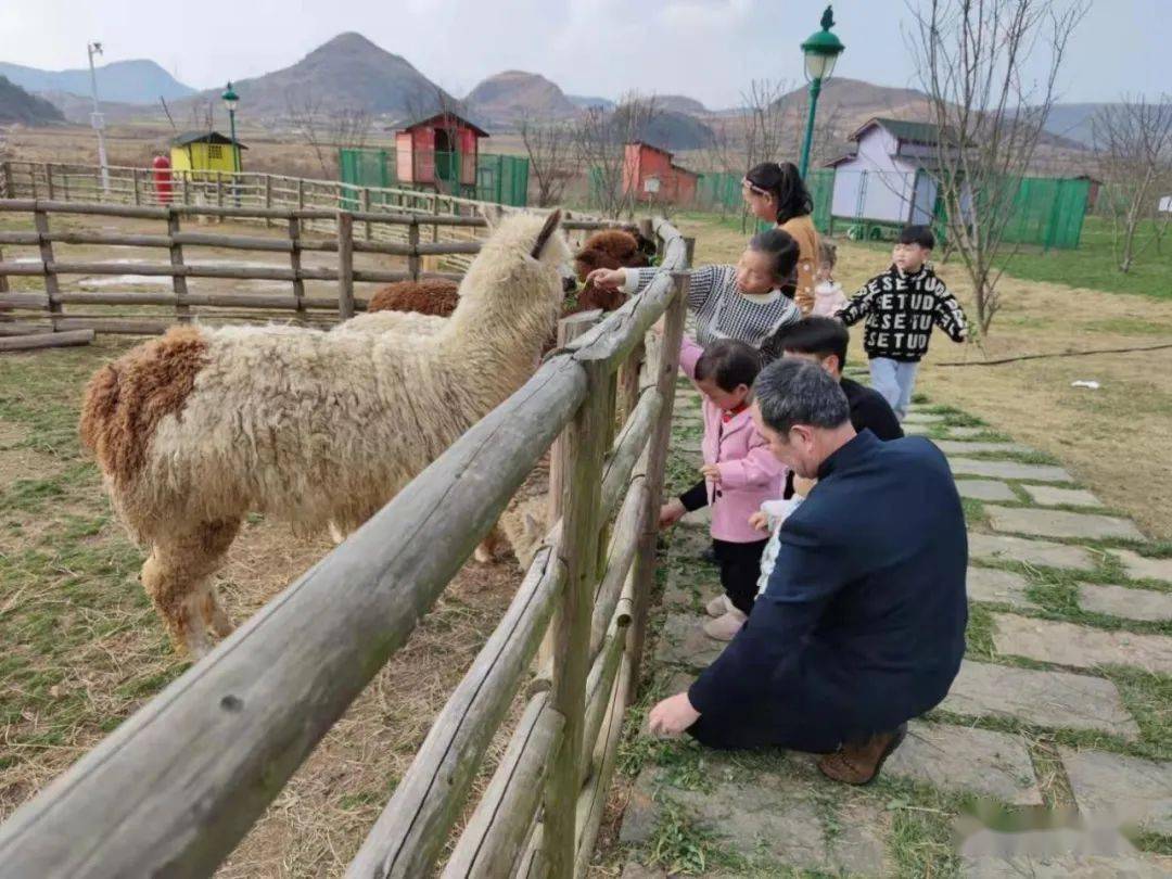 年初三我们去了七眼桥镇的米粒儿亲子农庄