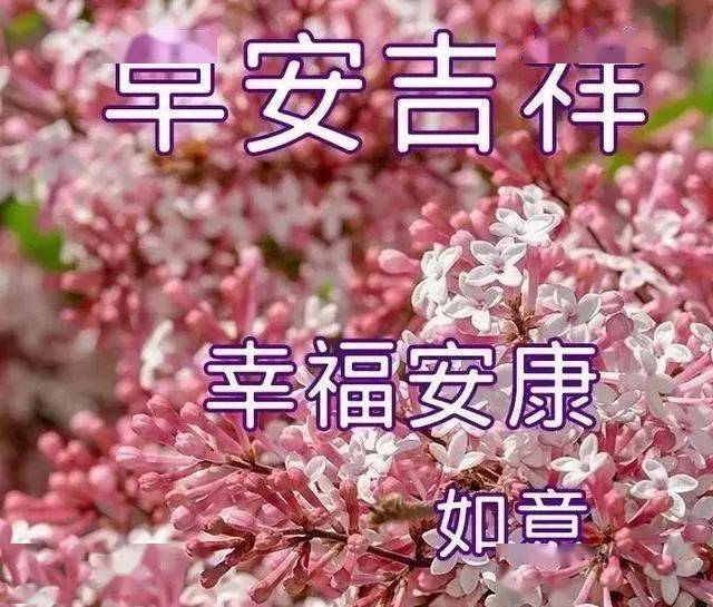 微信問候朋友早上好圖片帶字早晨好溫馨問候祝福語