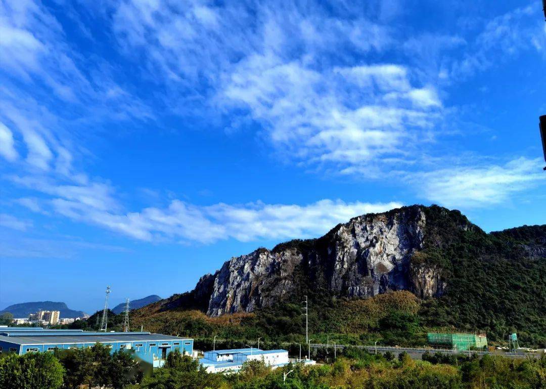 英州山水库,天下红旗茶