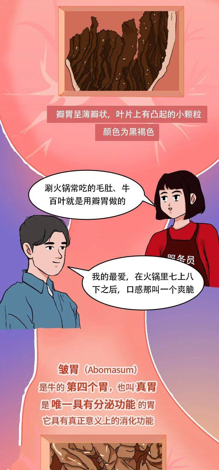 你点的是这个牛肚,还是那个牛肚?_上皮