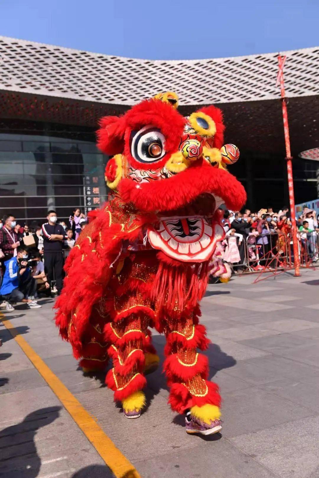 正月初五,南山"群狮"共舞闹新春!_醒狮