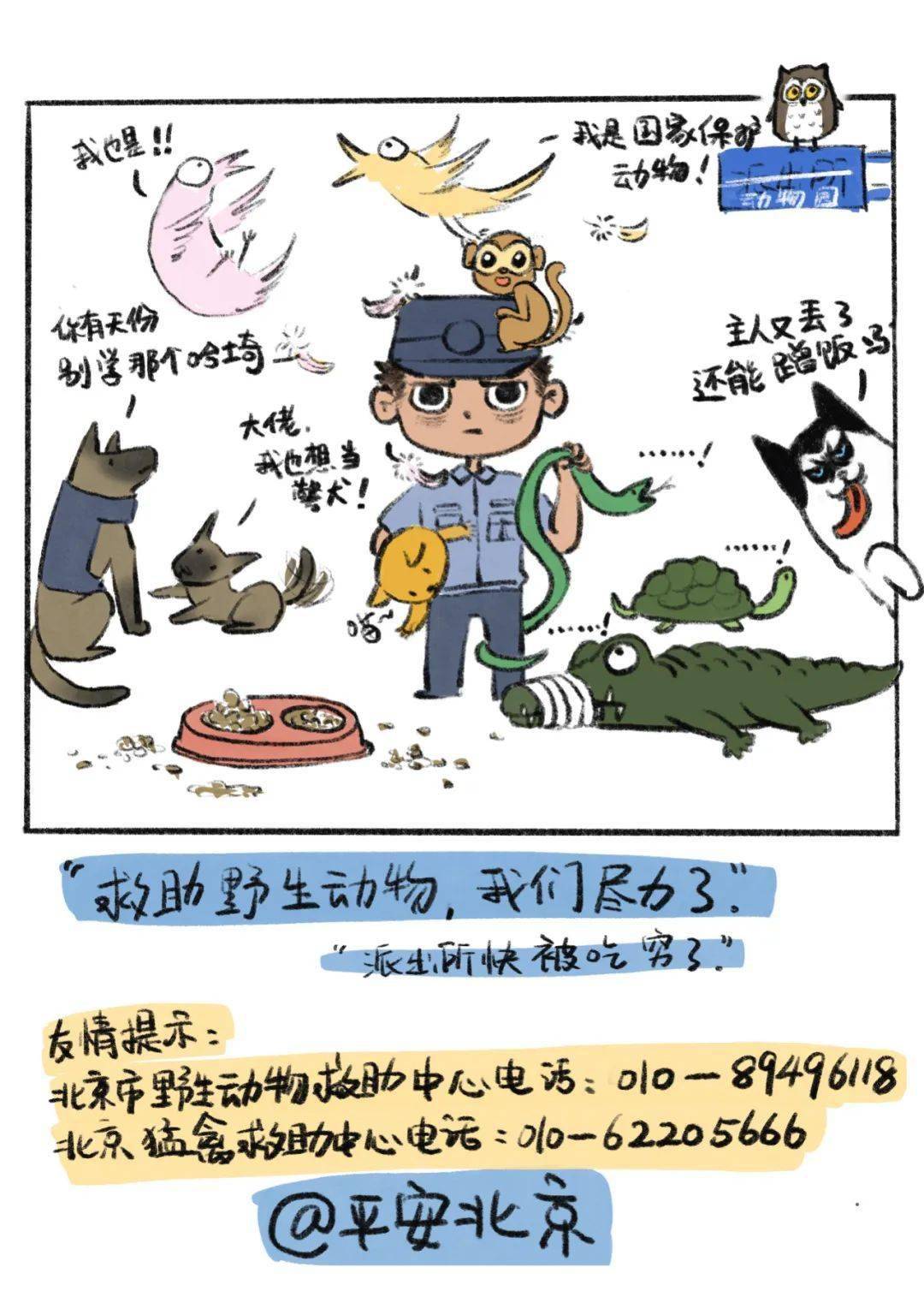 术乏什么成语_成语故事手抄报(3)