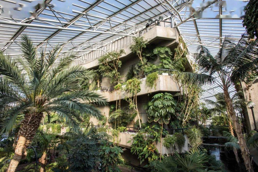 钢筋水泥中的室外桃园--巴比肯热带温室(barbican conservatory)