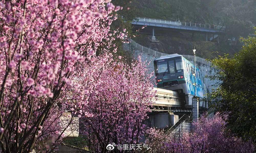 賞圖美炸了重慶版開往春天的列車