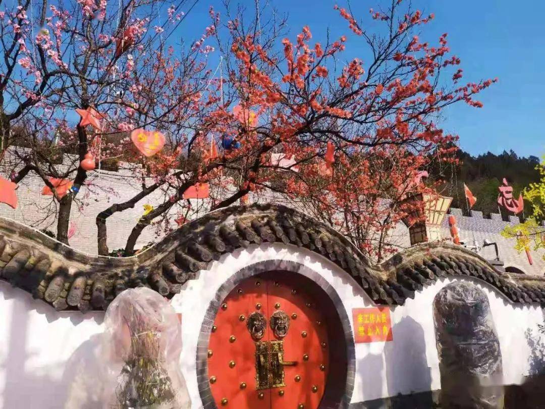 平凉灵台人口_平凉灵台10年前图